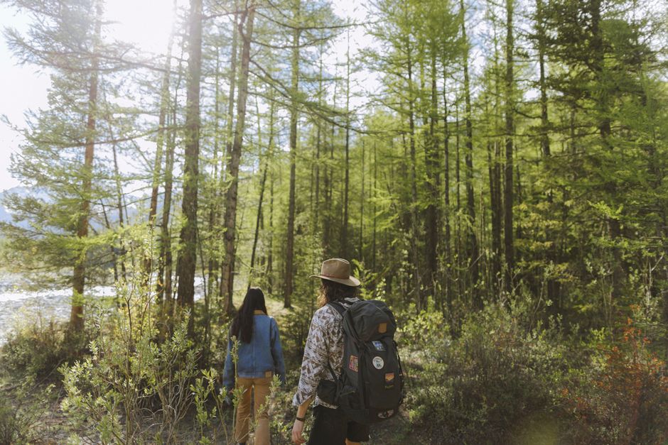 A couple hiking through a sunlit forest trail
