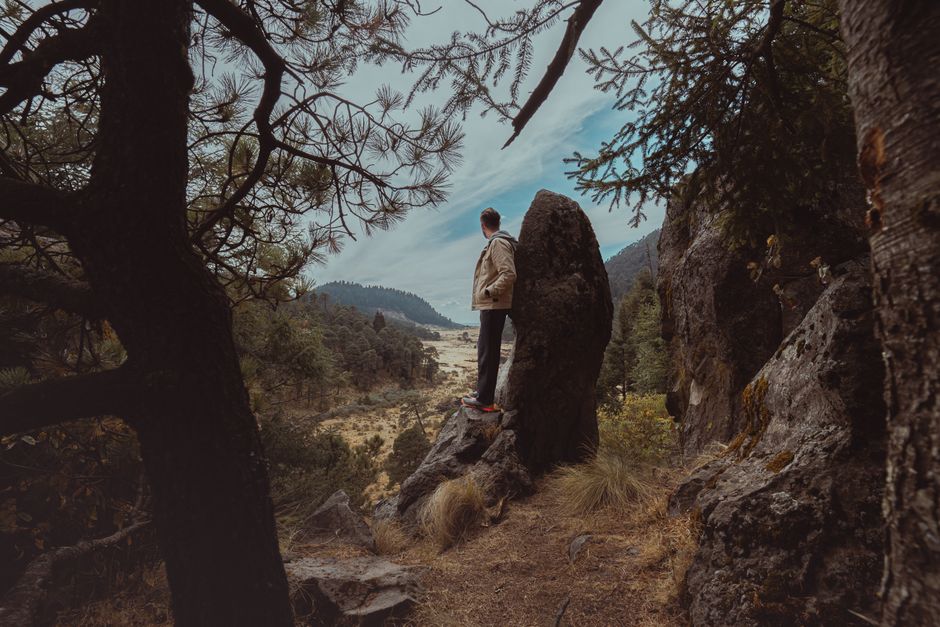 A man stands on a rock amidst trees, gazing at a scenic mountain valley
