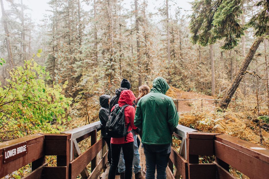 Group of friends hiking on a bridge in a misty autumn forest