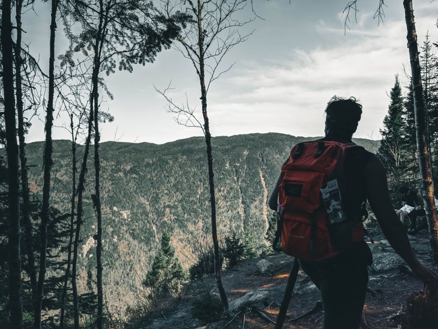 Silhouette of a hiker with a red backpack, exploring through a dense forest trail with mountain views.