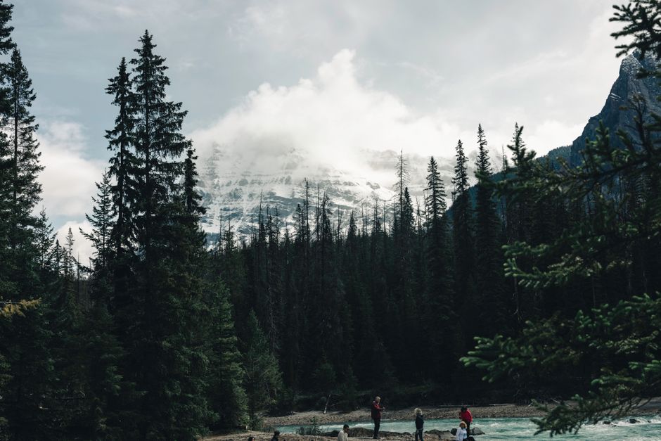 Explore the majestic landscapes of Field, BC, with mountains and forests