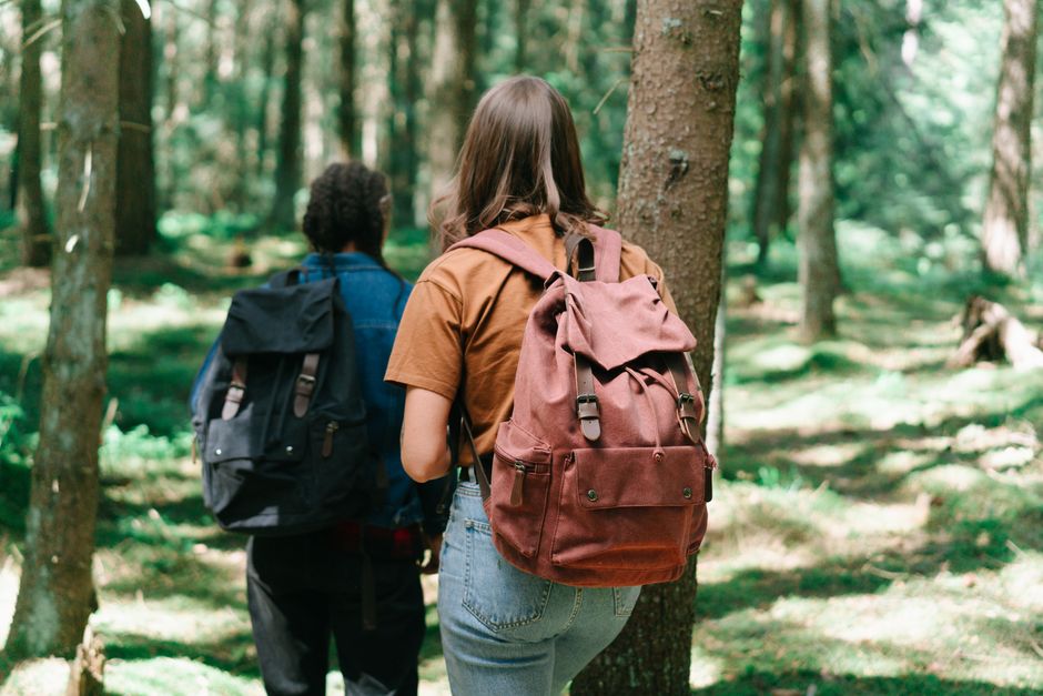 Two hikers with backpacks explore a dense forest path