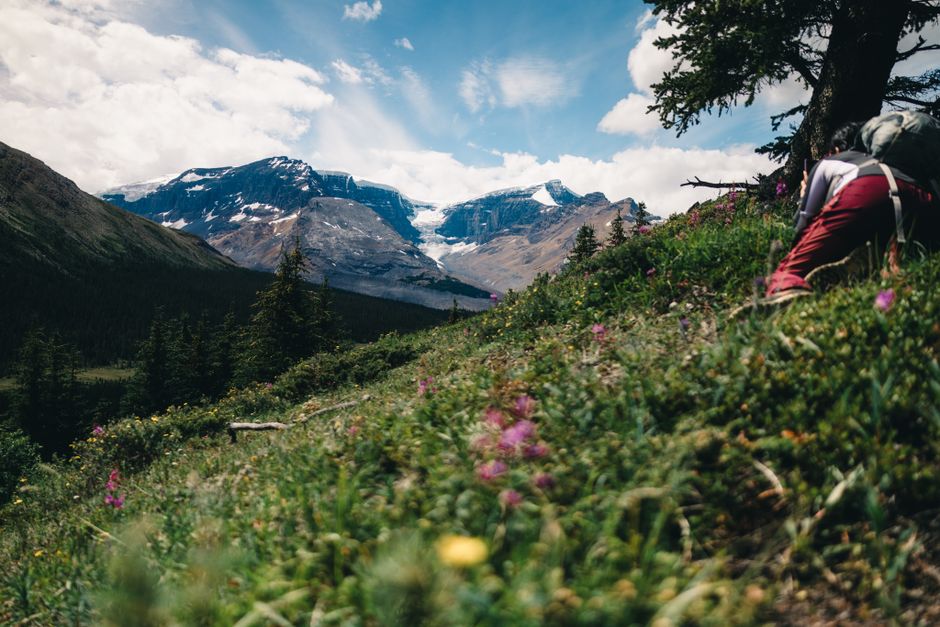 Hiking through the beautiful landscapes of Jasper, Alberta